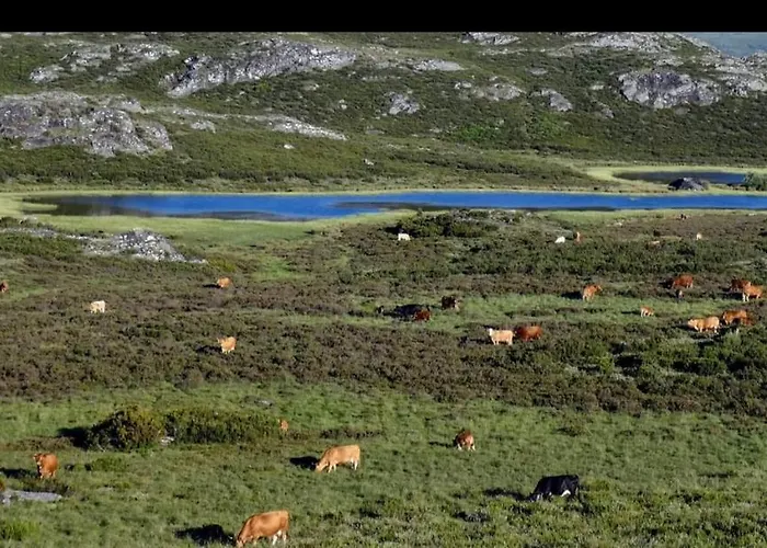Casa Rustica Cesar Lubián